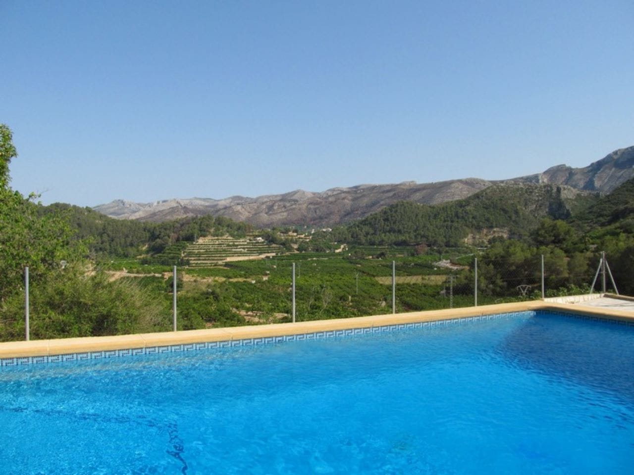 Finca con plantacion de aguacates en Forna