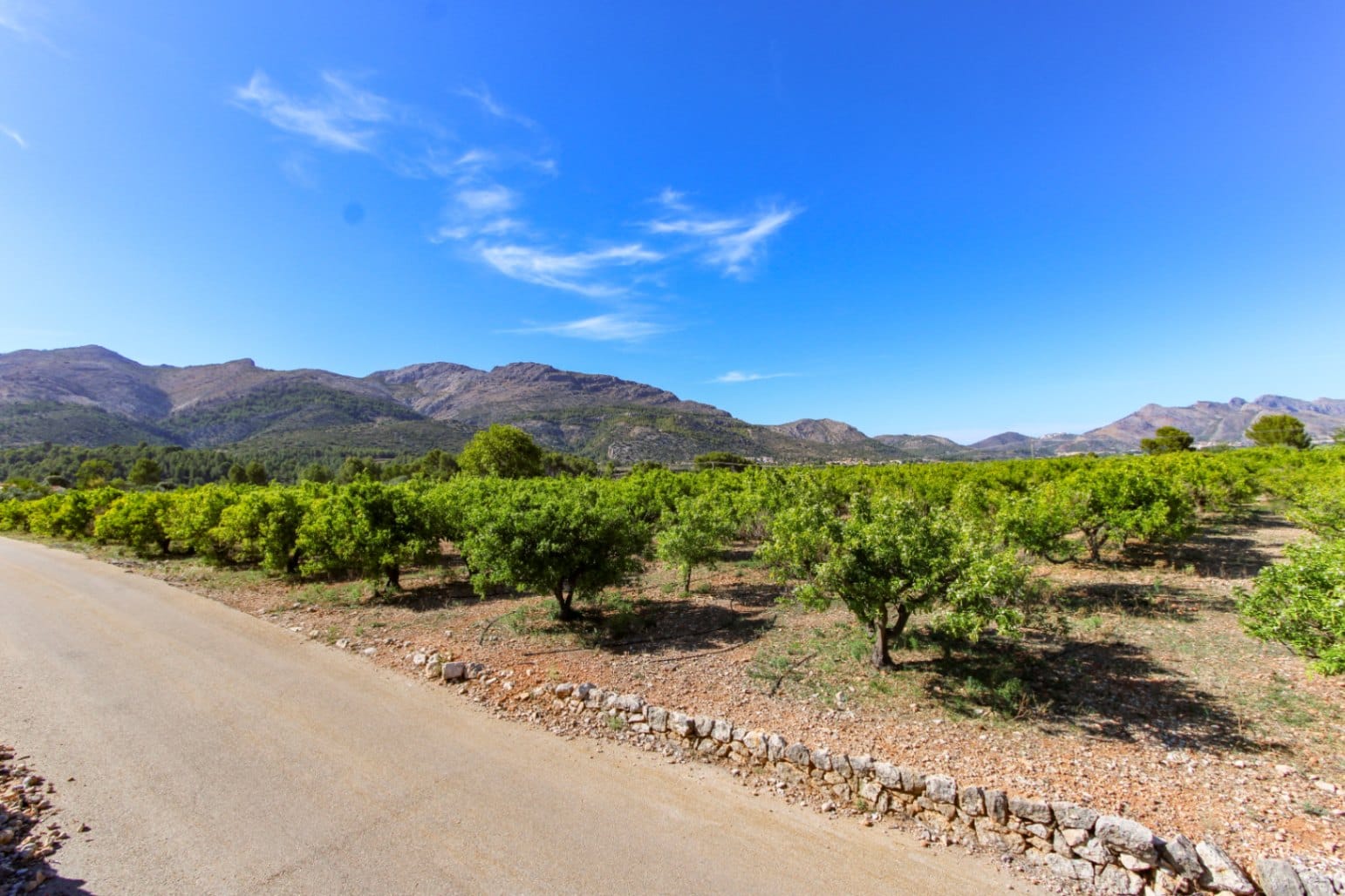 Plot en venta en Orba