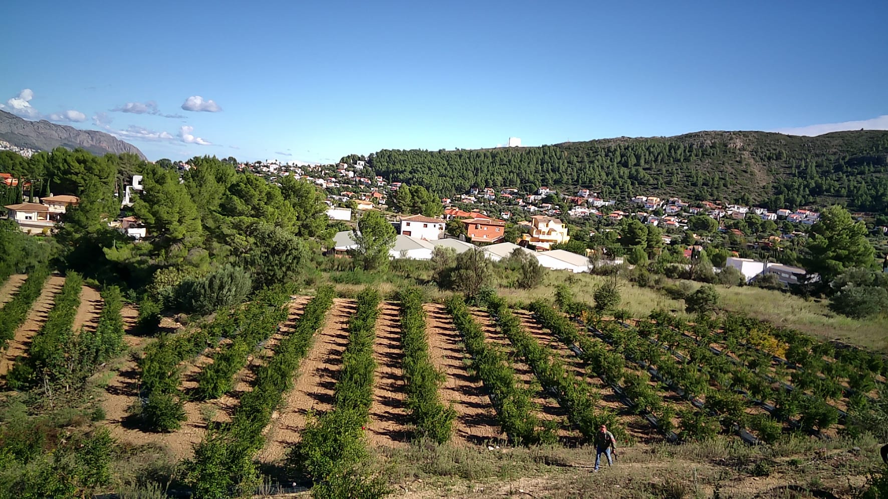 Plot en venta en Orba