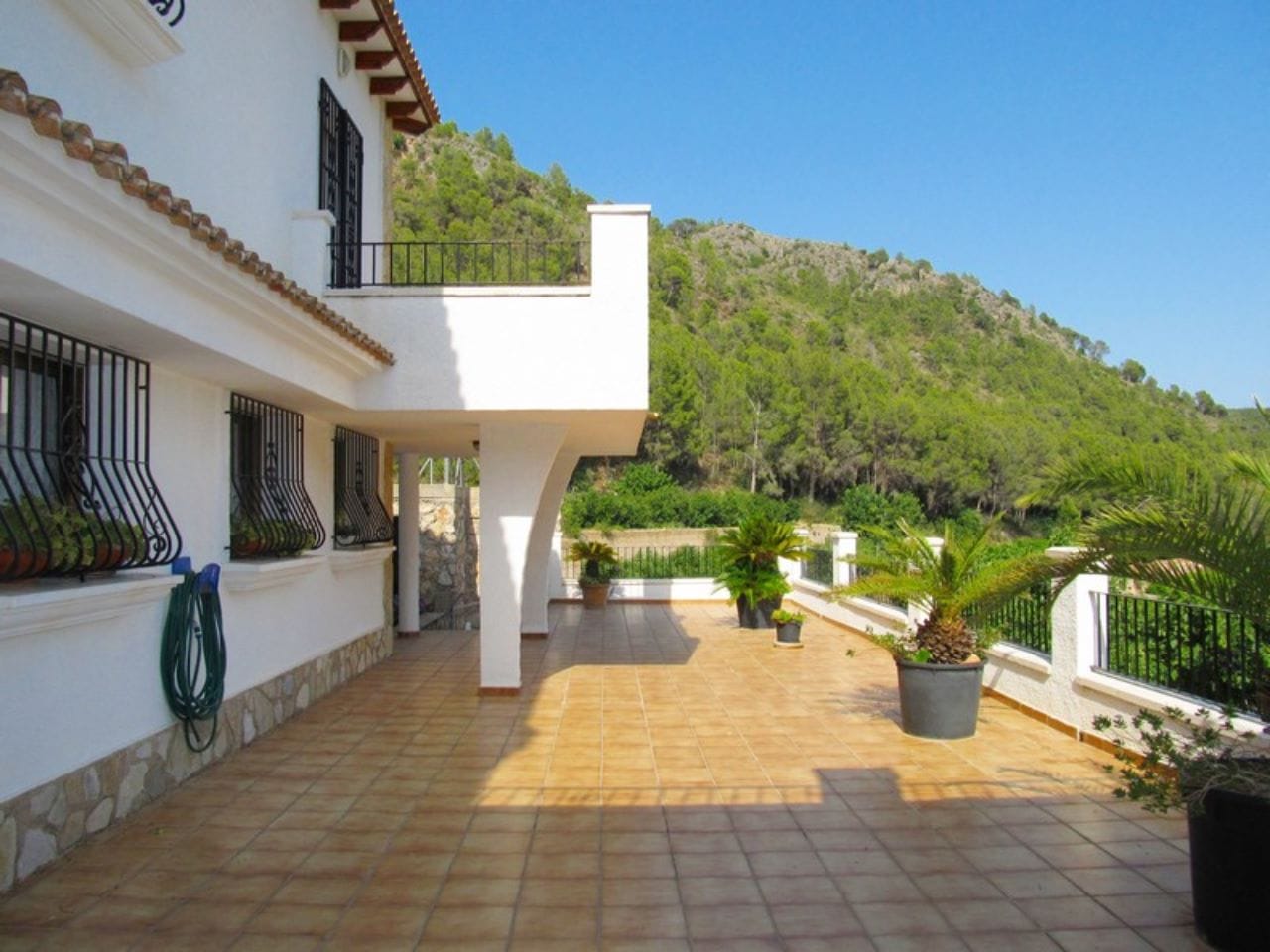 Finca con plantacion de aguacates en Forna