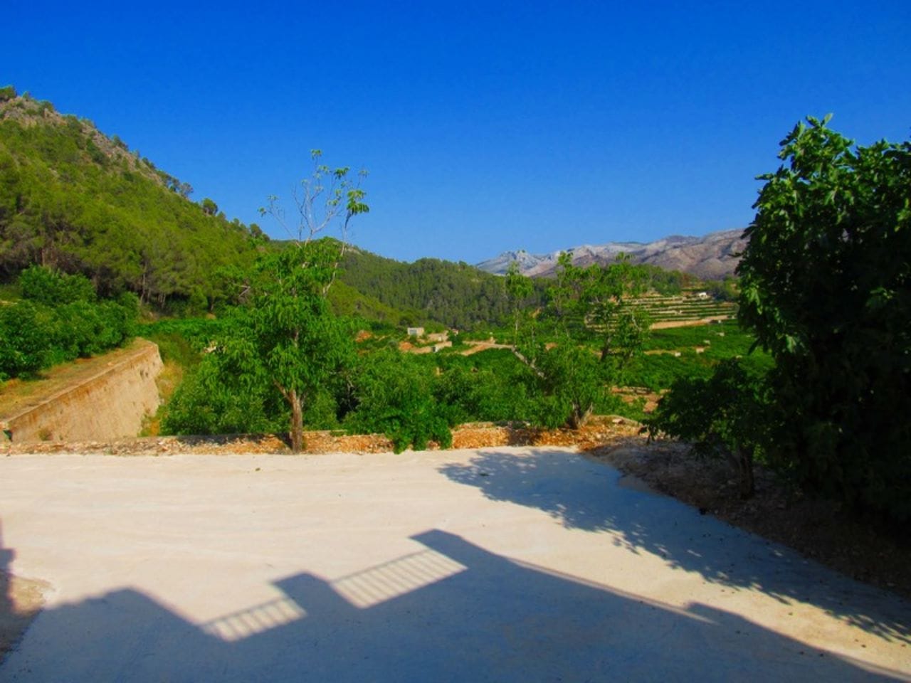 Finca con plantacion de aguacates en Forna