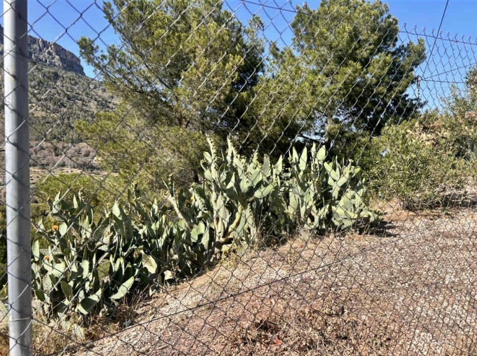 Dos solares contiguos en una ubicación fantástica en Maryvilla