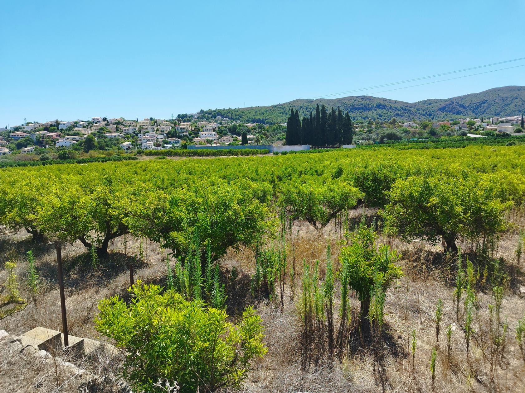 Plot en venta en Orba