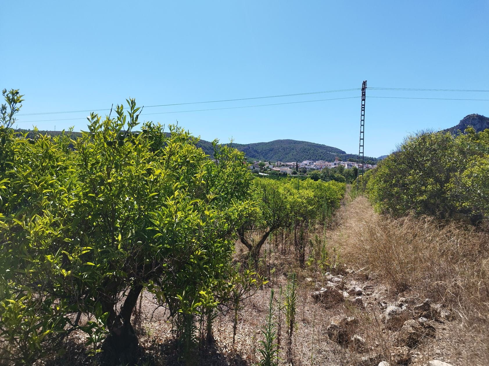 Plot en venta en Orba