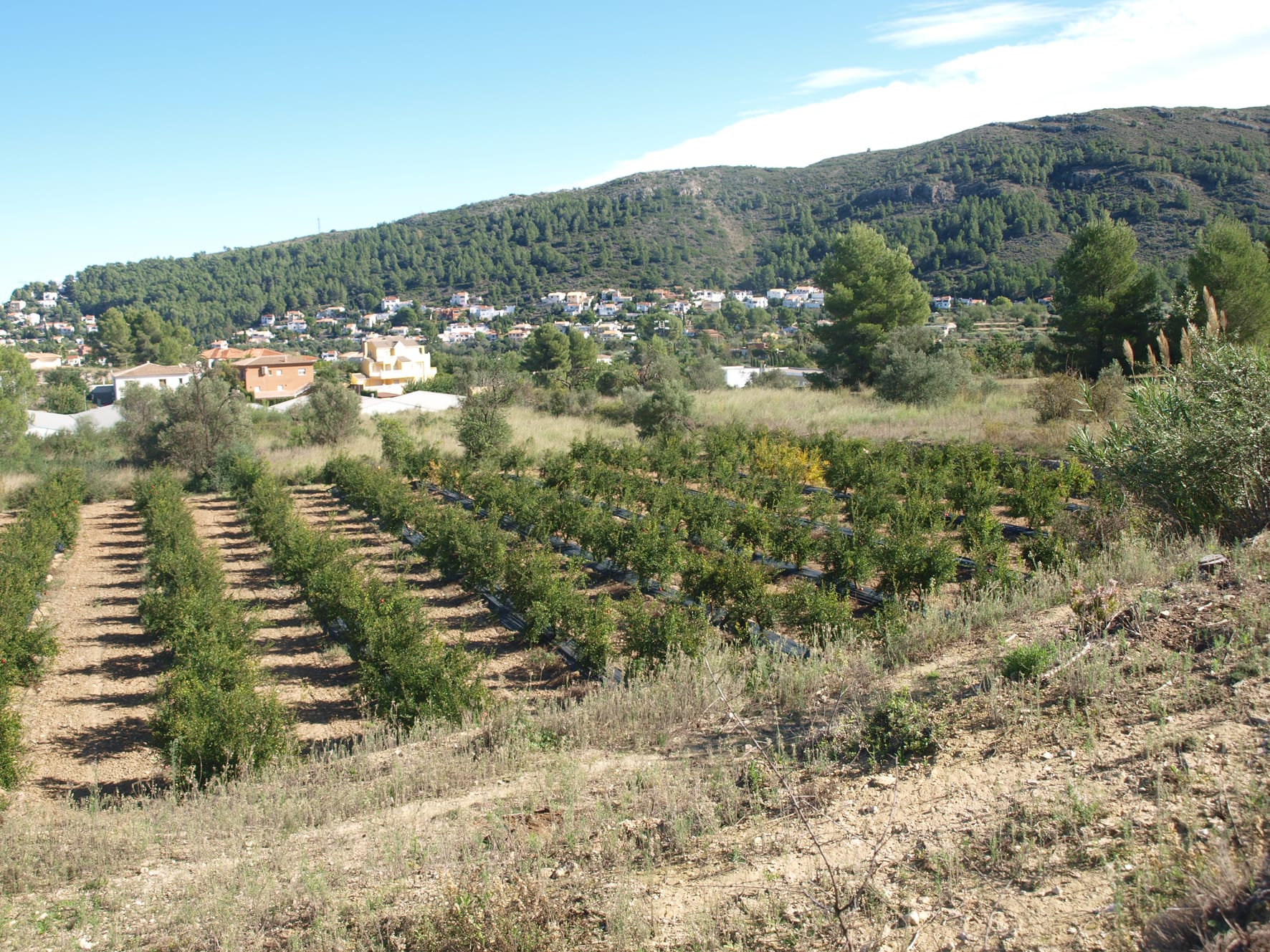 Plot en venta en Orba