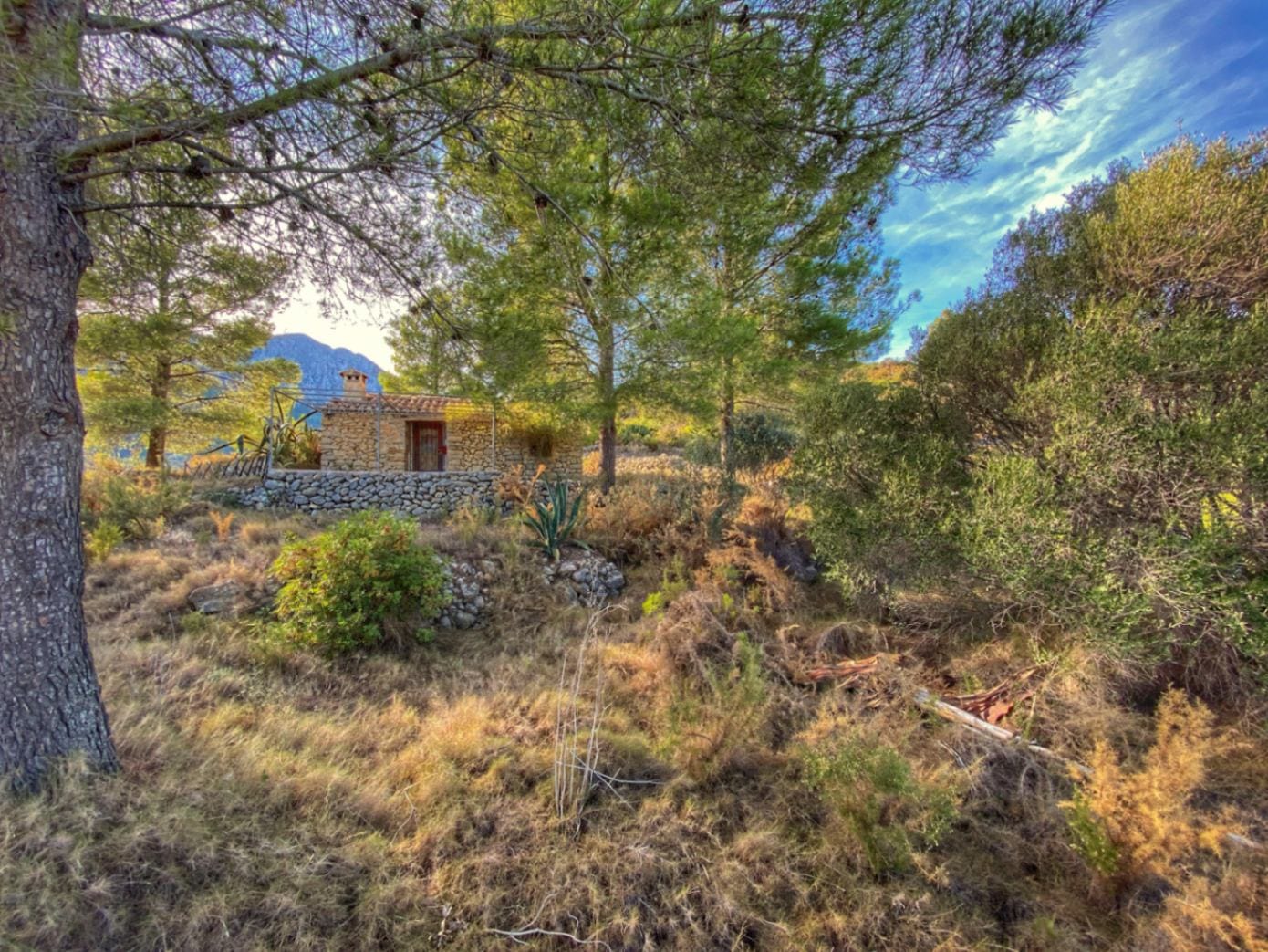Plot en venta en Jalón