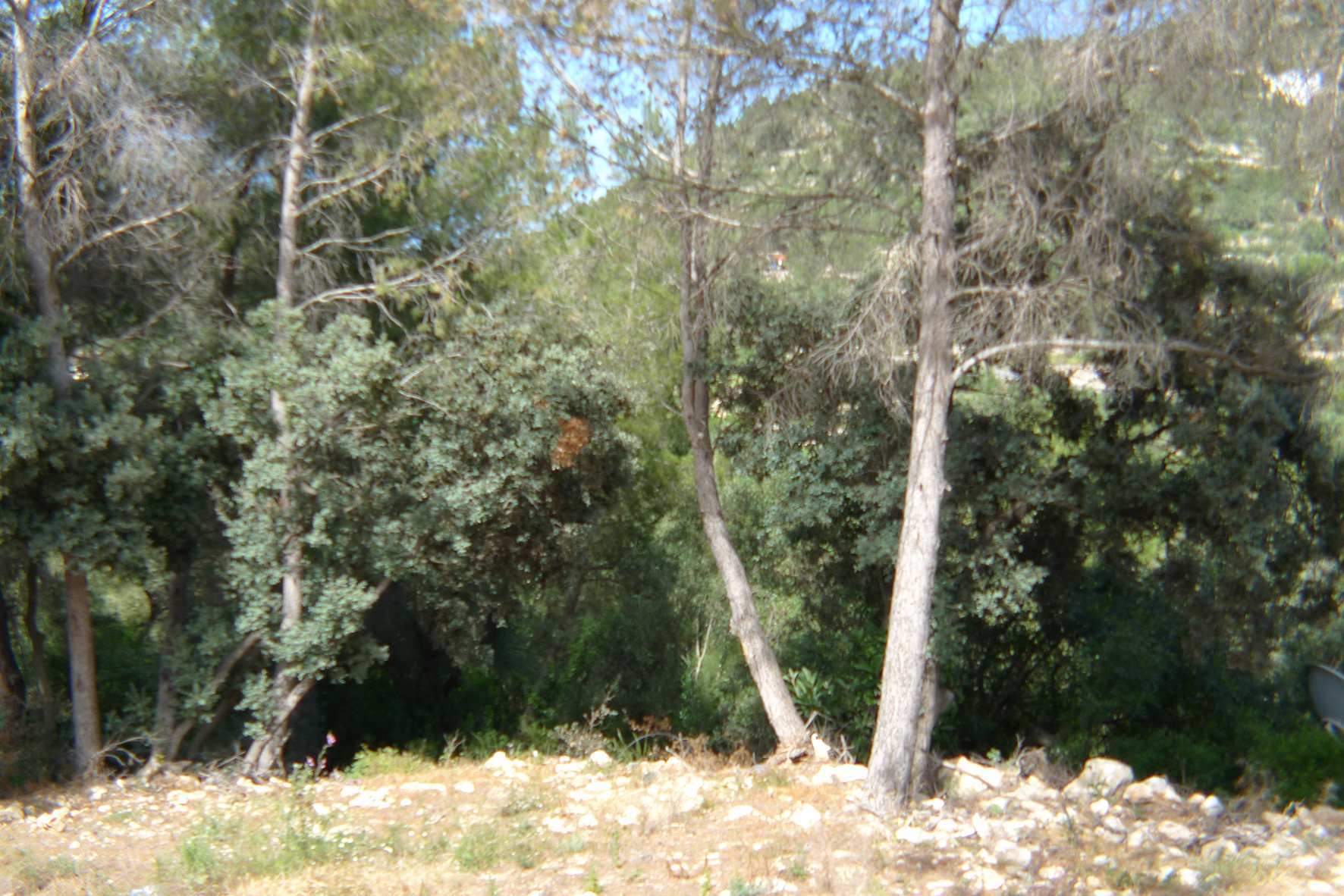 Plot en venta en Alcalalí