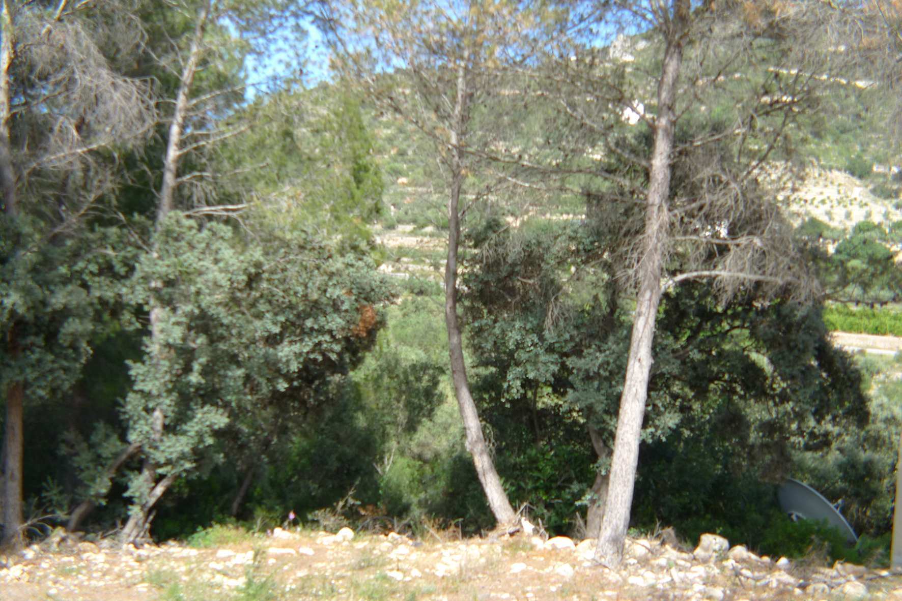 Plot en venta en Alcalalí