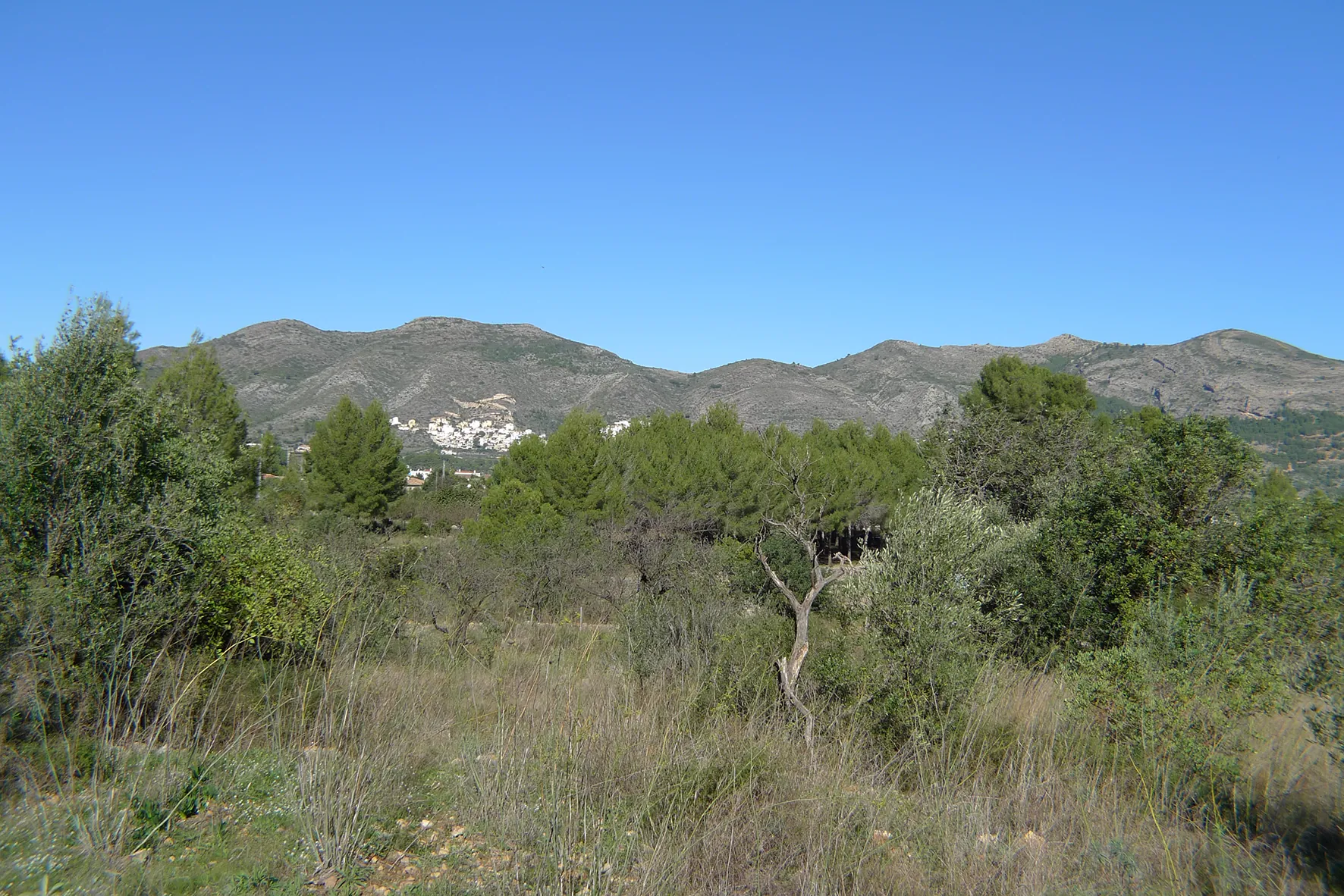 Parcela en venta en Jalón