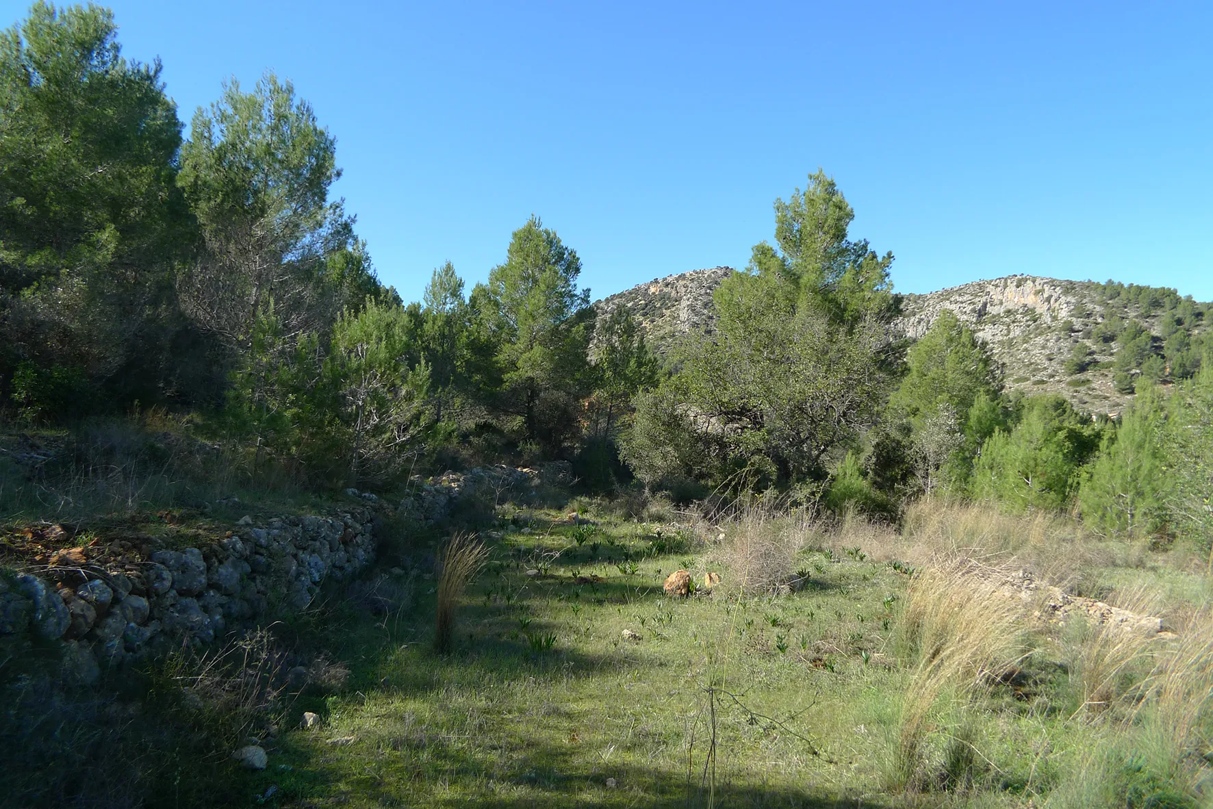 Parcela en venta en Jalón