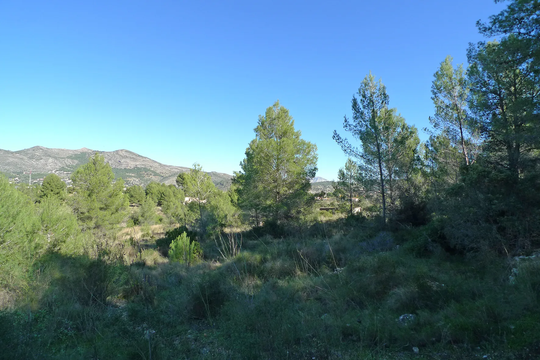 Parcela en venta en Jalón