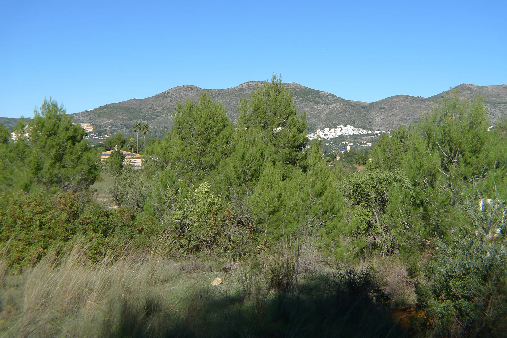 Parcela en venta en Jalón