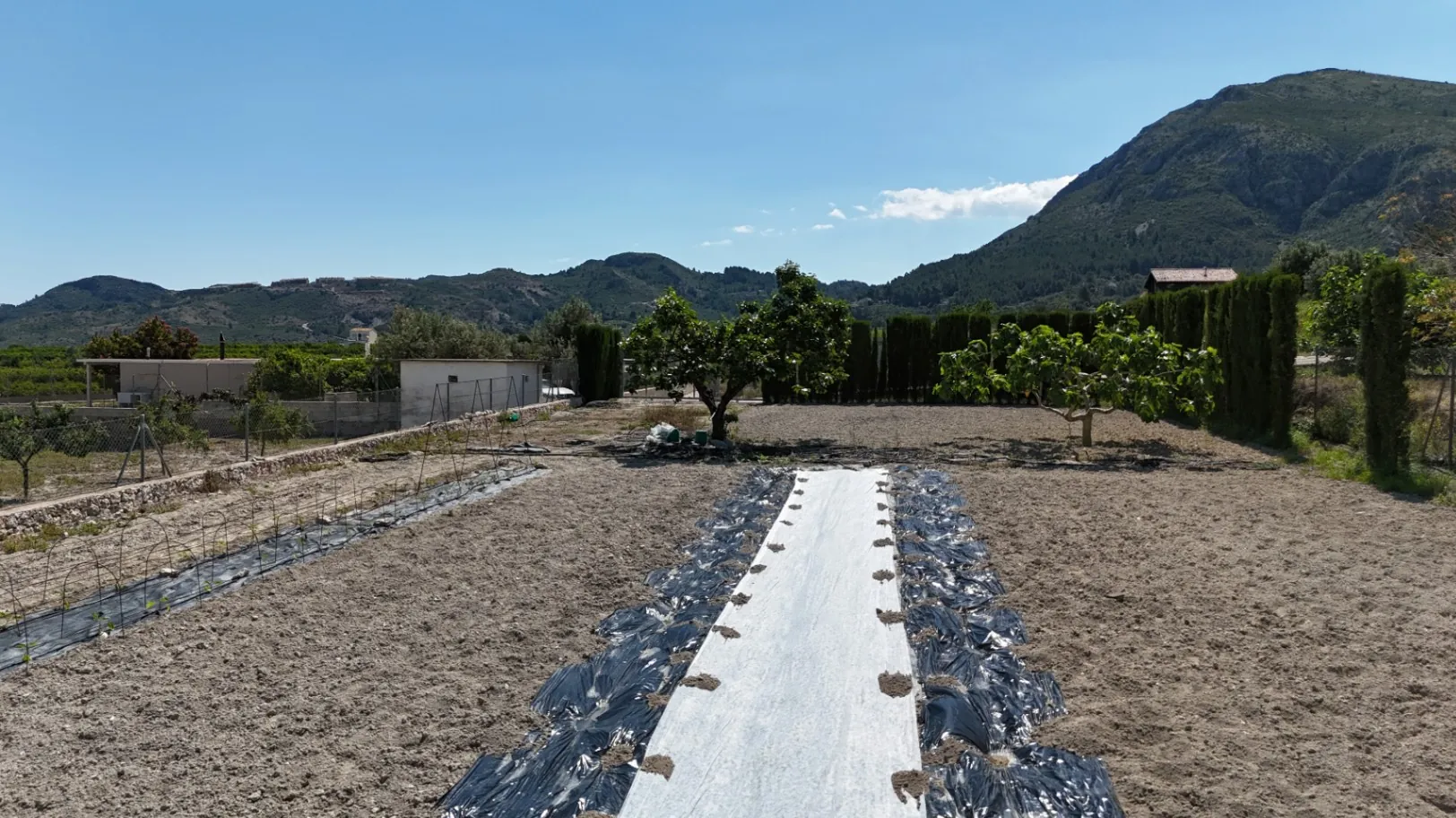Terreno rústico con vistas al mar y a 1 km de Pego