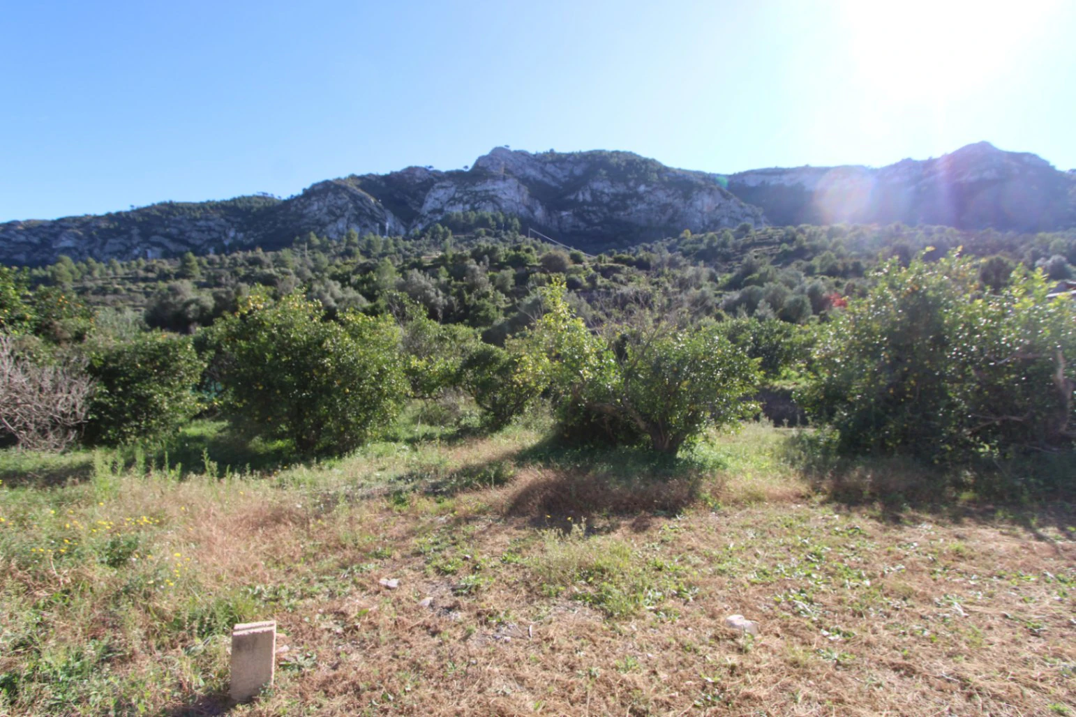 Chalet/Villa en venta en Llosa De Camacho