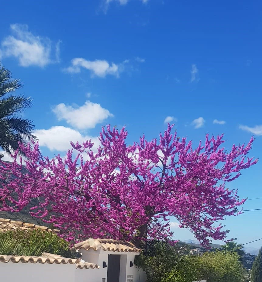 Villa con vistas al mar, en Santa Lucia a Denia