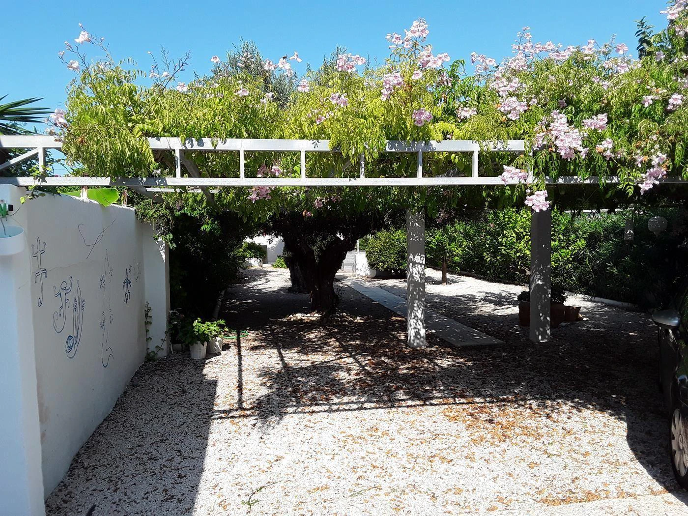 Chalet/adosado primera linea de playa a Denia