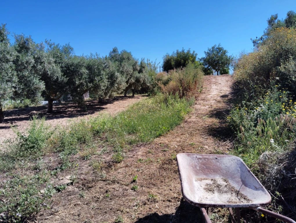 Finca en venta en Teulada
