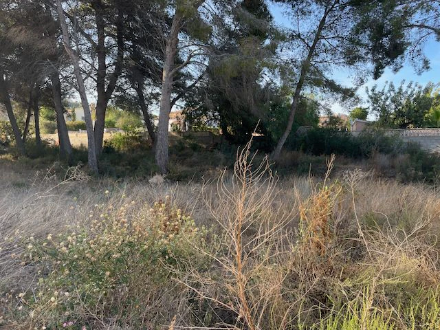 Parcela edificable en venta en Moraira | urbanización Estret