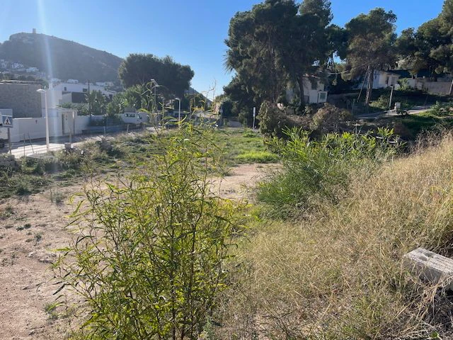 5 Parcelas Exclusivas en Moraira en la zona de El Portet | Camí de la Viuda