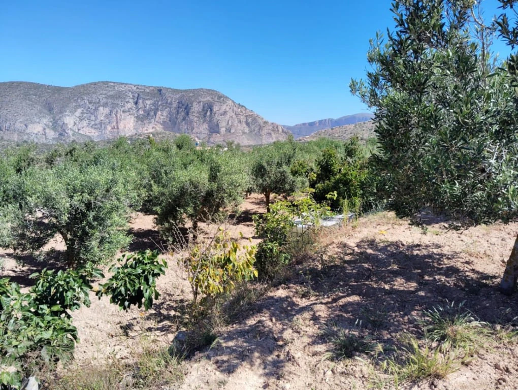 Finca en venta en Teulada
