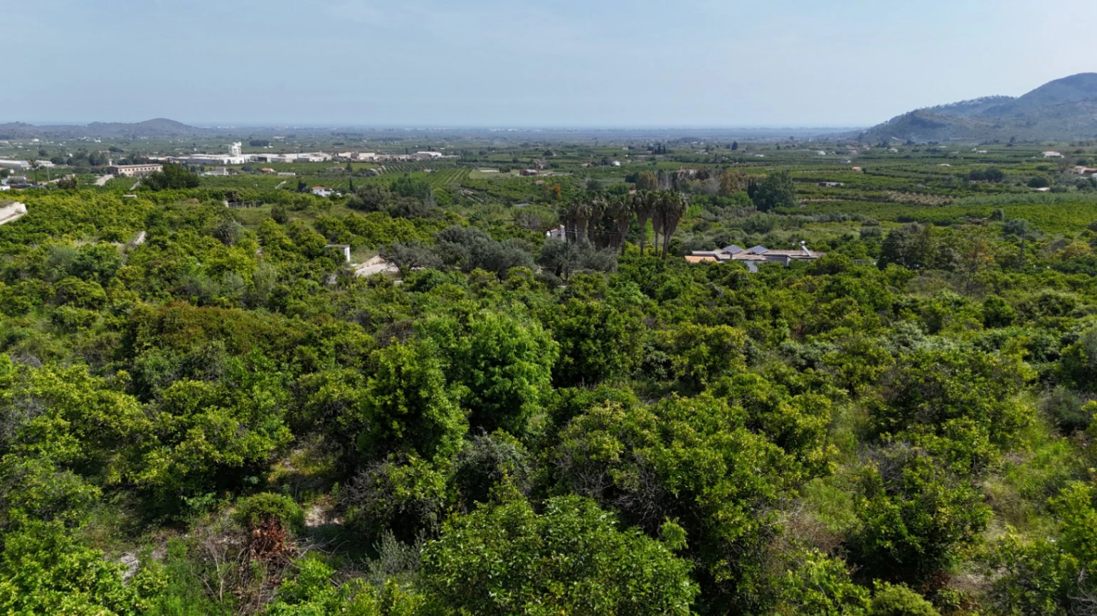 Terreno de 18.000 m2 con vistas al mar y cercano a Pego