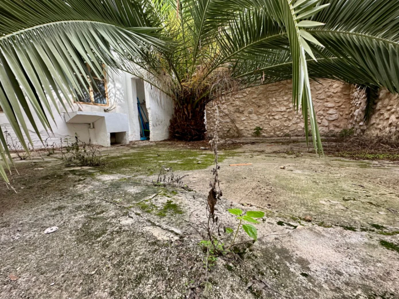 Casa de pueblo con más de 100 años de historia en el casco antiguo de Pego
