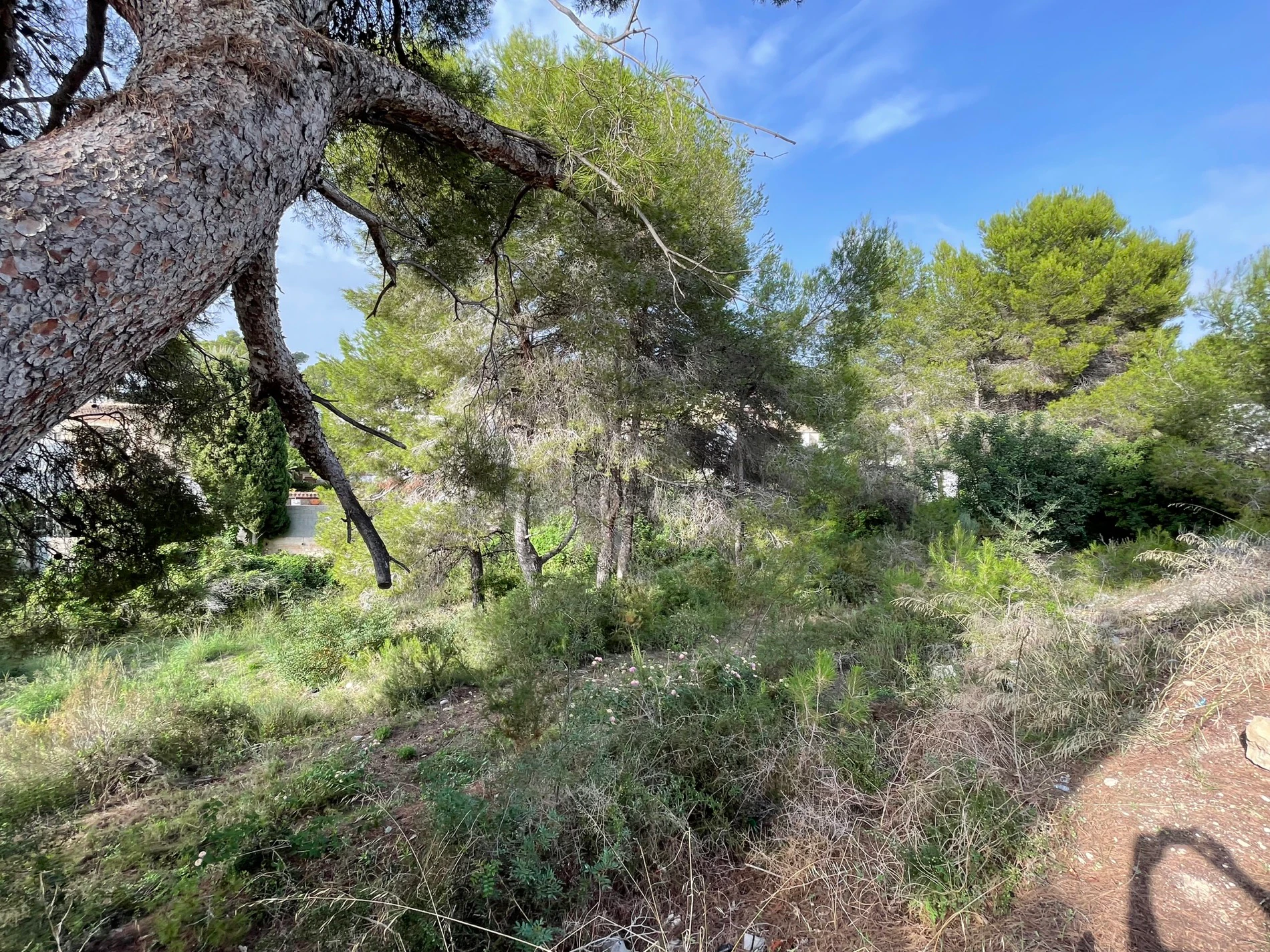 Grundstück zu verkaufen in Costera del Mar, Moraira, Alicante