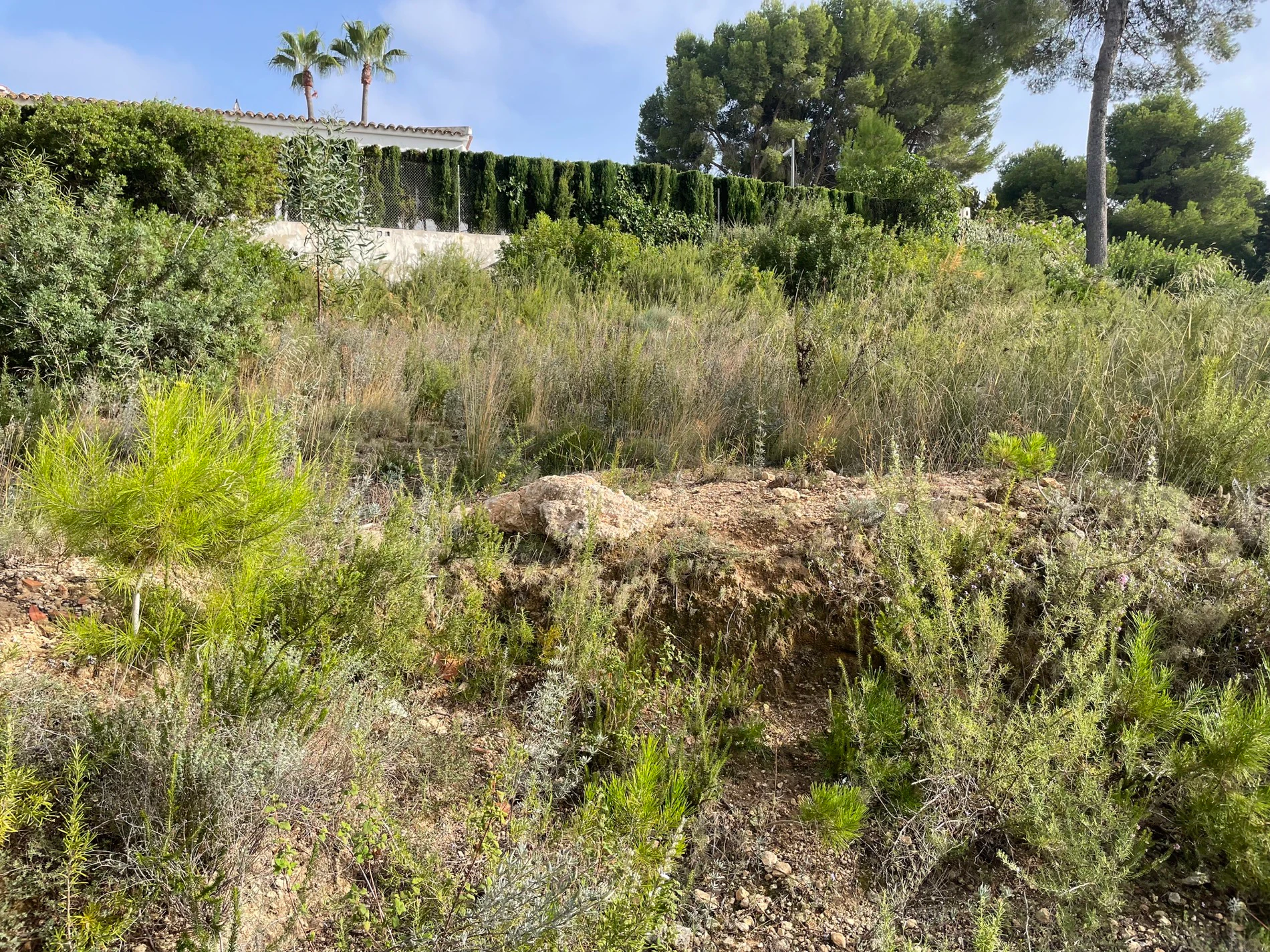 Grundstück zu verkaufen in Costera del Mar, Moraira, Alicante