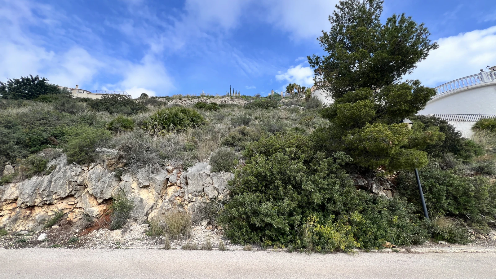 Plot in Pedreguer
