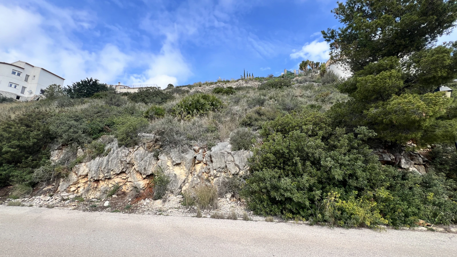 Plot in Pedreguer