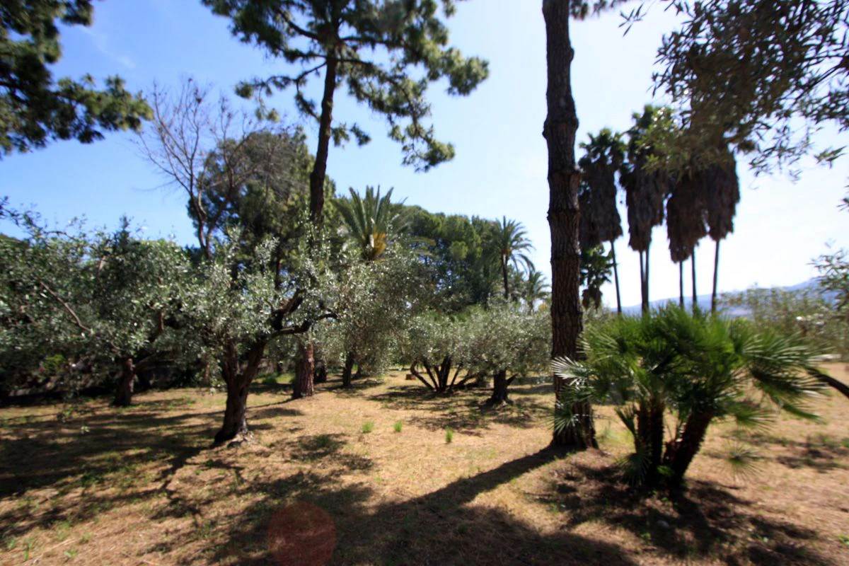Chalet/Villa en venta en Sagra
