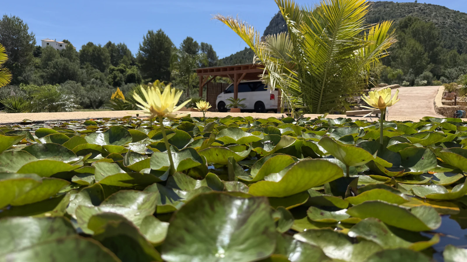 Un oasis de paz. Una propiedad de ensueño con un amplio terreno y total privacidad cerca de Denia, Oliva y Jávea.