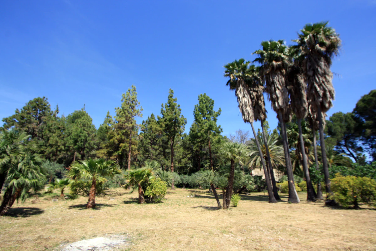 Chalet/Villa en venta en Sagra
