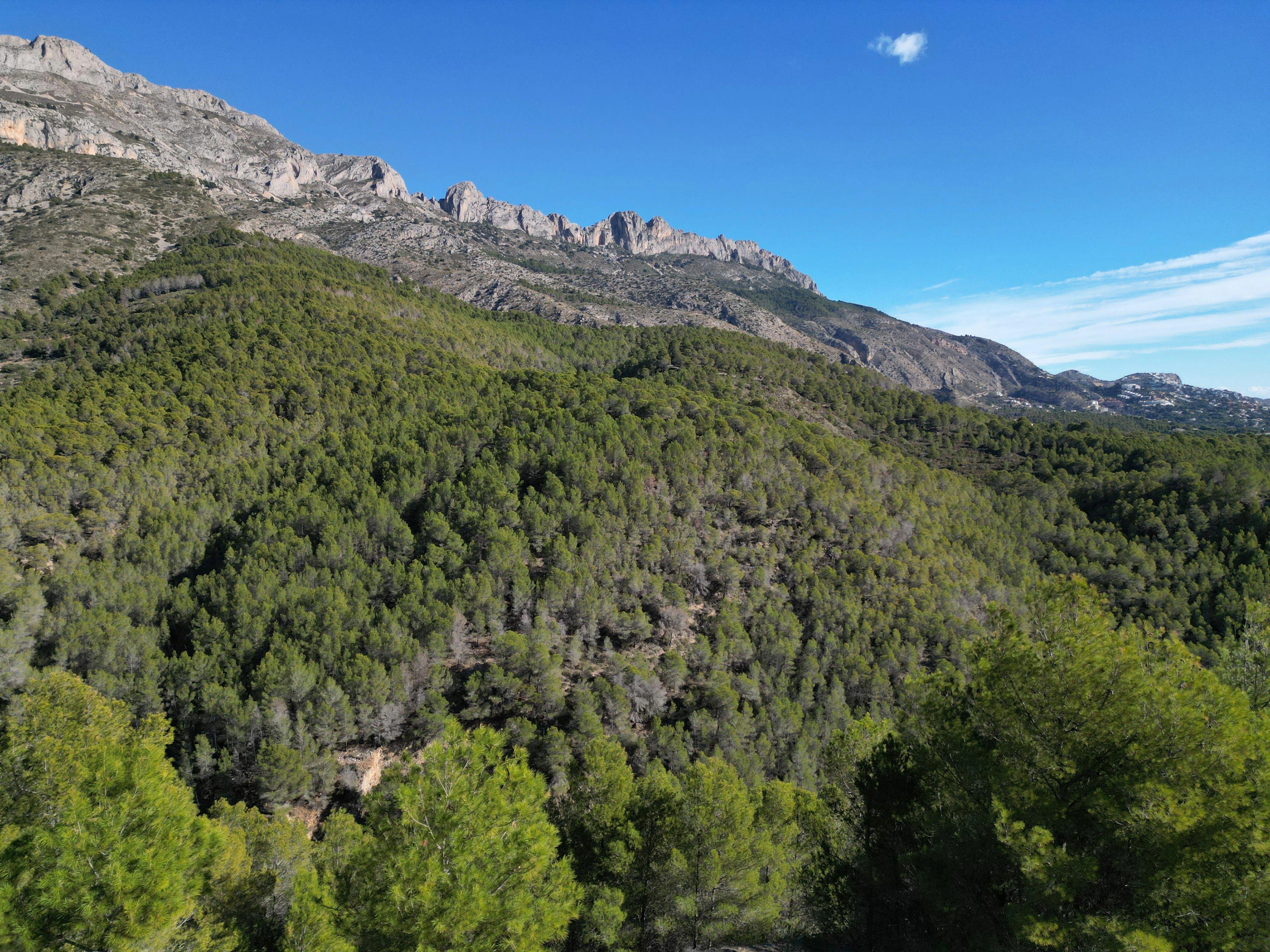 Plot for sale in Santa Clara, Altea - 1000 m²