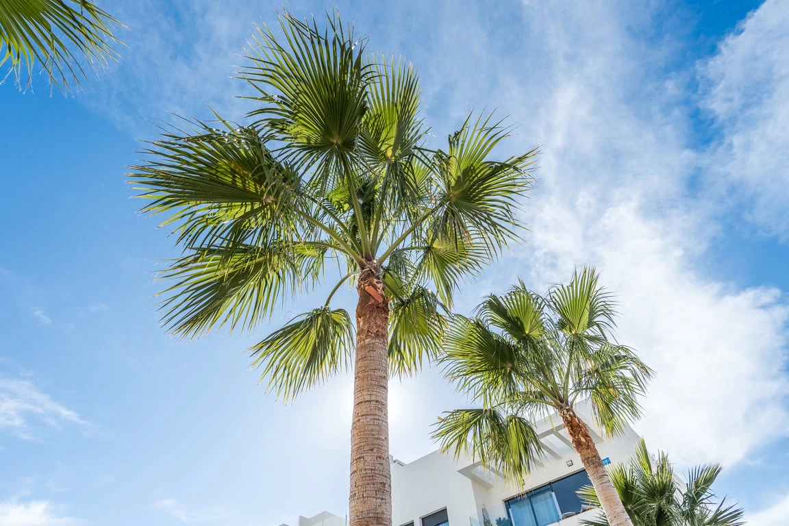 Apartamento en Jávea