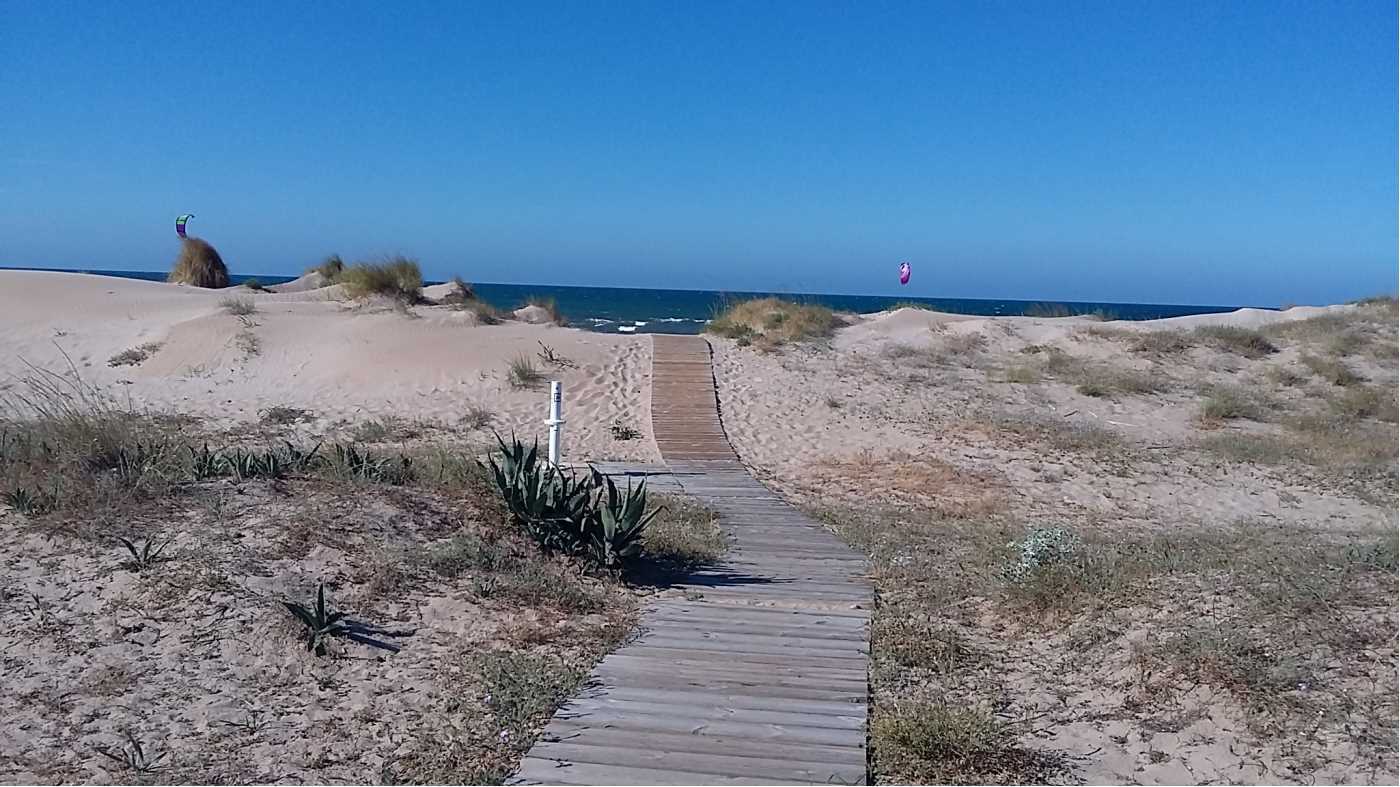 Villa en Oliva en venta