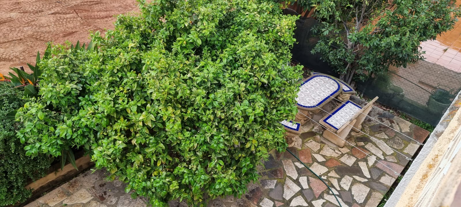 Apartamento en Denia club nautico