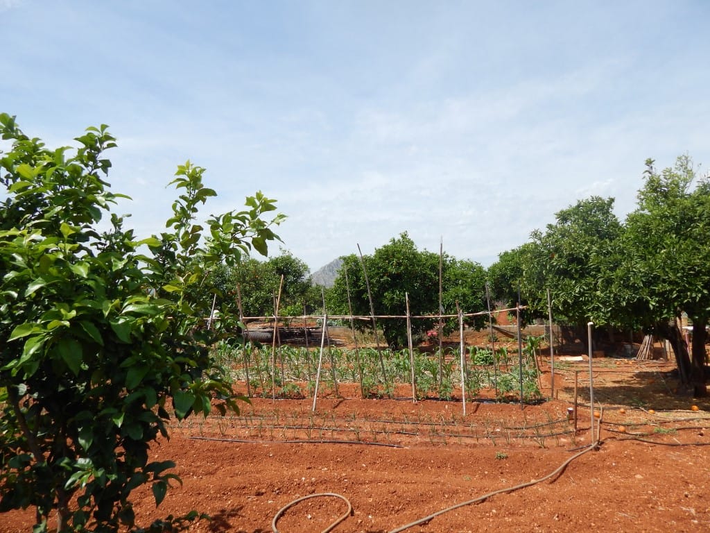 Finca en Denia en venta