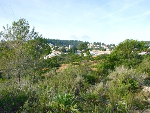 Parcela en venta Benidoleig de 18.000 m2