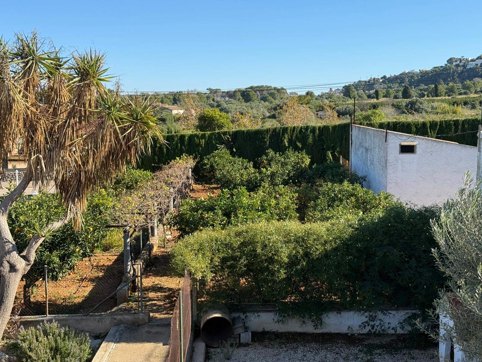 Exclusiva finca con gran potencial en Denia, 4415m parcela con 2 casas y varias construcciones - 5