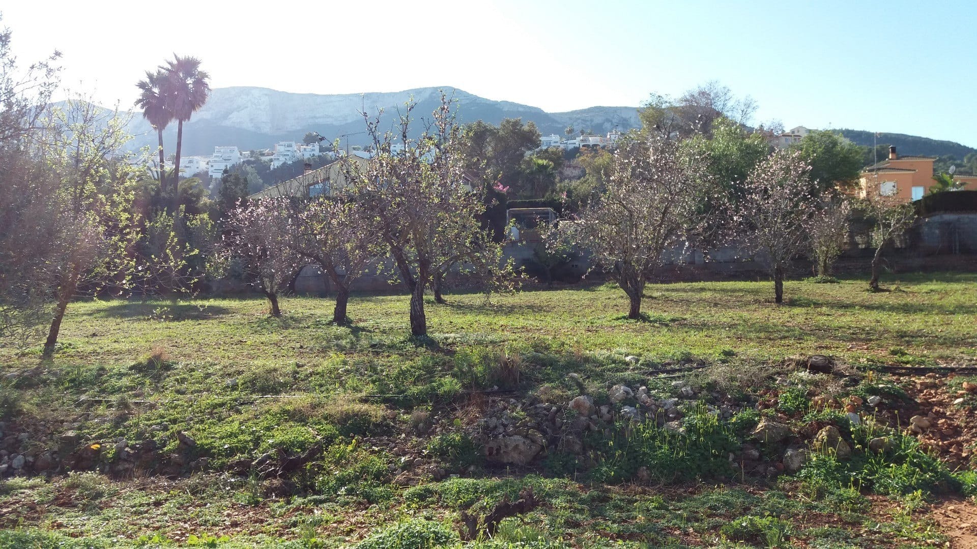 Casa en venta en Denia