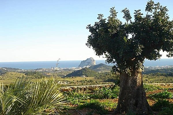 Finca nueva con vistas al mar en Benissa en venta