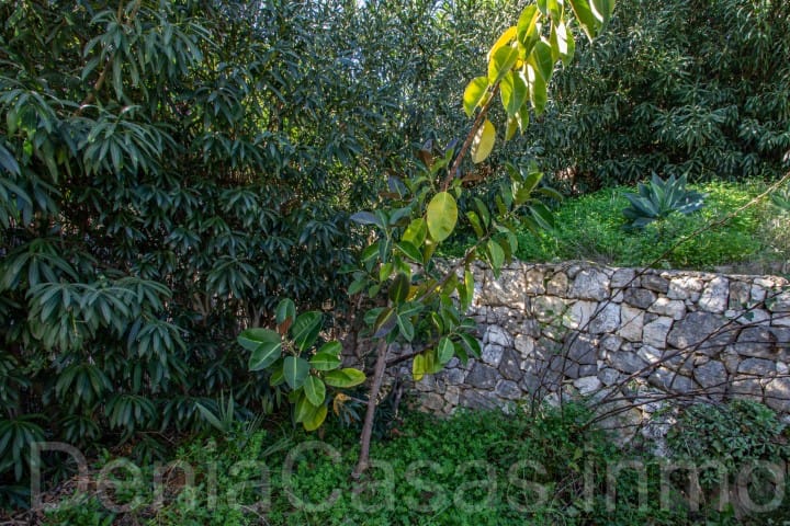 Casa independiente en La Sella