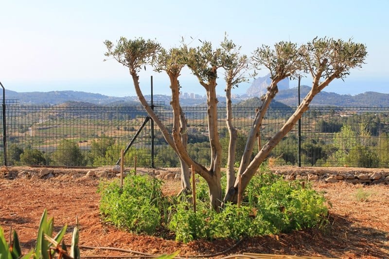 Finca nueva con vistas al mar en Benissa en venta
