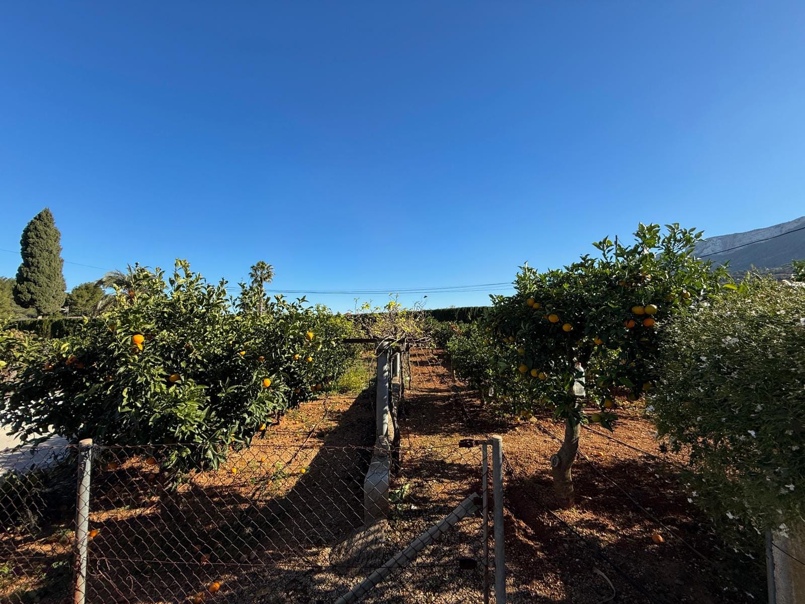 Exclusiva finca con gran potencial en Denia, 4415m parcela con 2 casas y varias construcciones