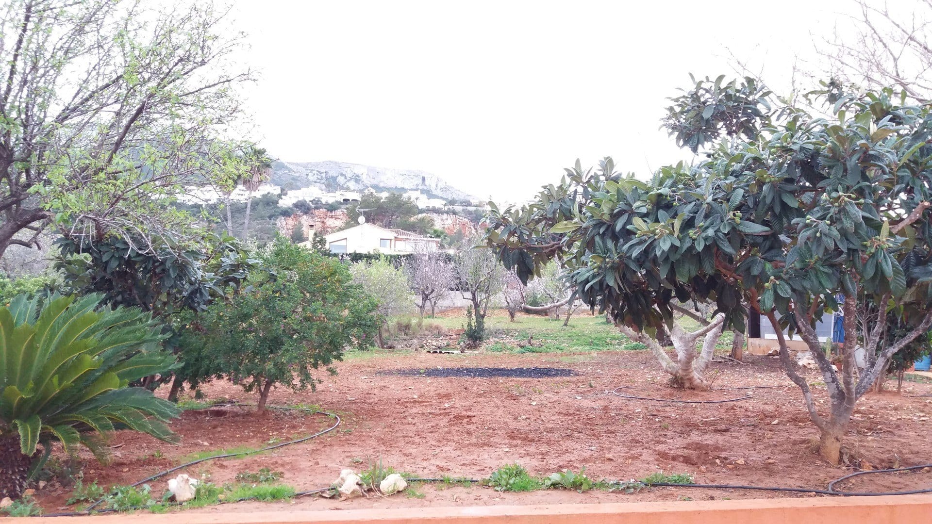 Casa en venta en Denia