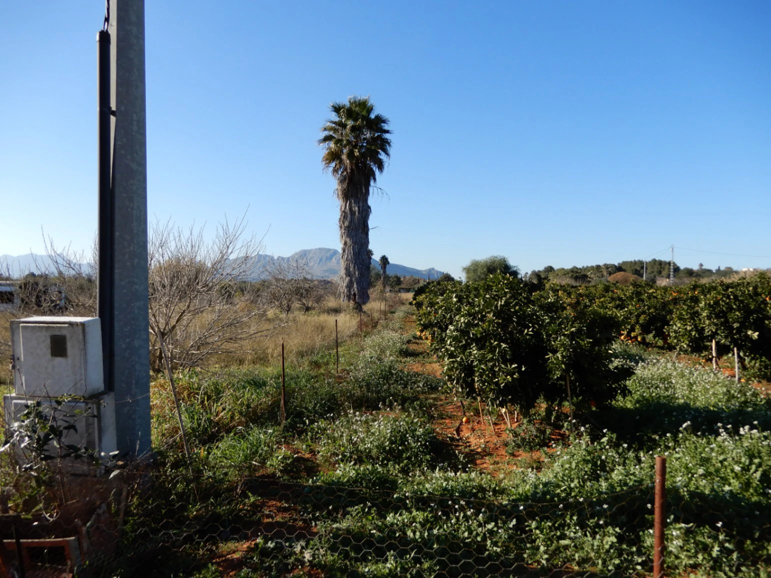 Parcela en Venta en Zona Golf Pedreguer