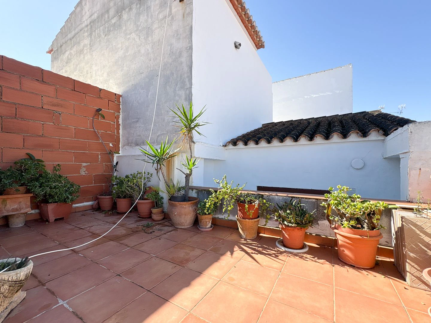 Auténtica casa de planta baja en Baix la Mar: junto al puerto y el corazón gastronómico de Dénia.