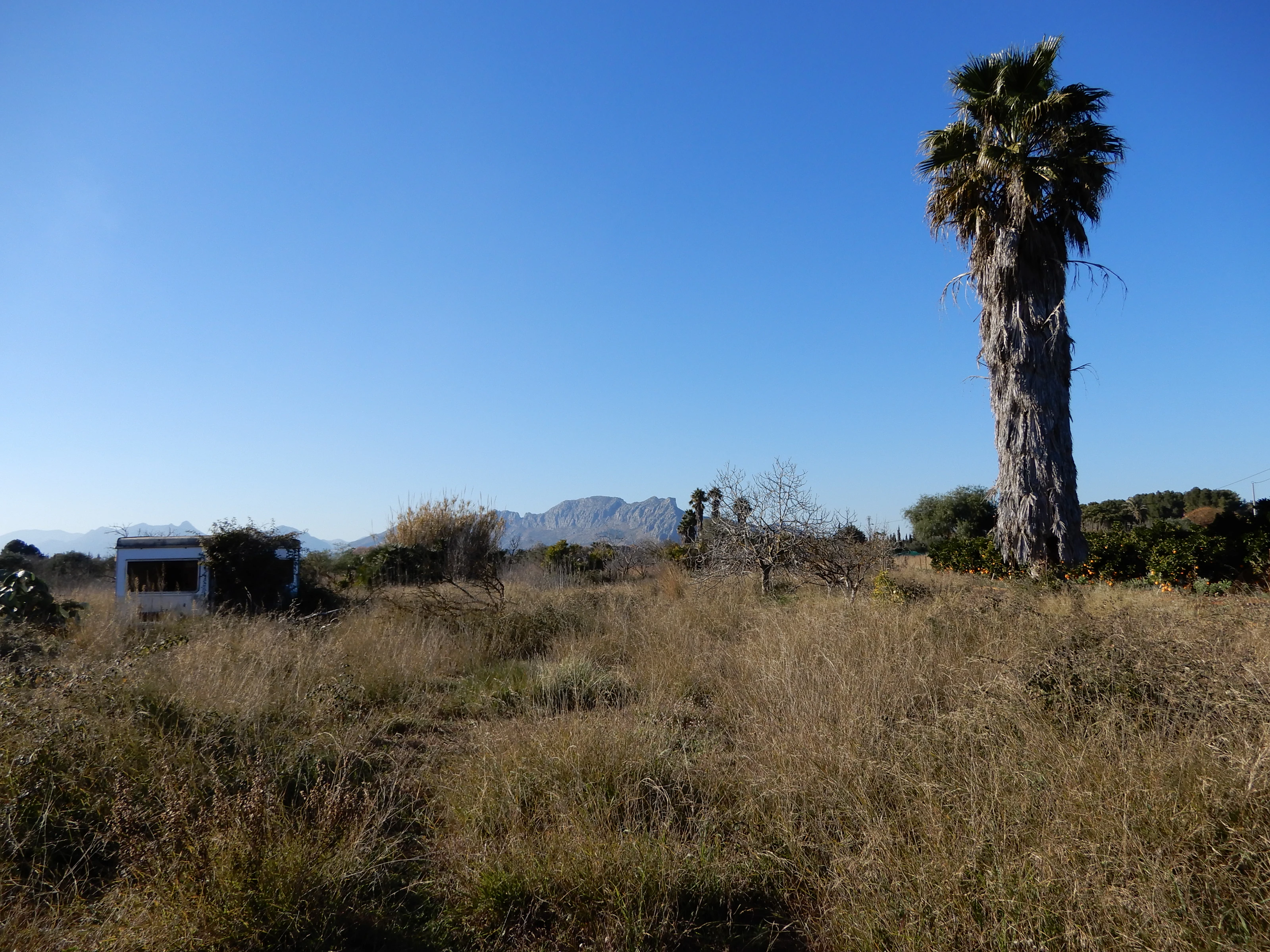 Parcela en Venta en Zona Golf Pedreguer