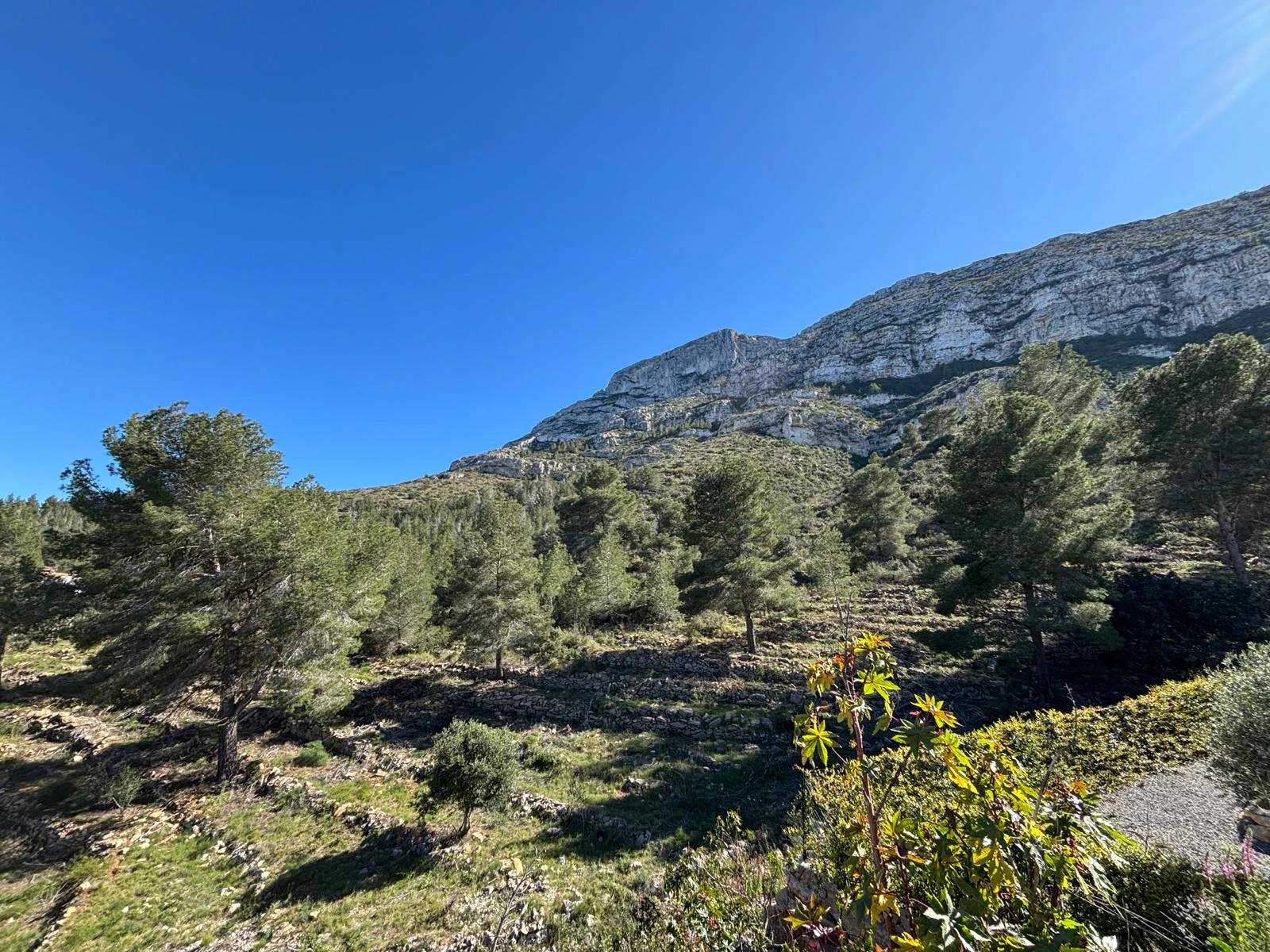 "Montgó House": Proyecto de Autor con Licencia Concedida y Vistas Infinitas en Dénia.